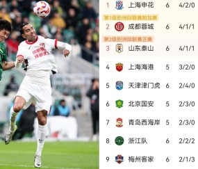 ayx网页版入口 - 成都蓉城足球俱乐部最新消息新闻 