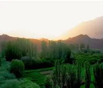 爱游戏ayx体育真人 -燕赵山猫队火力全开江汉雄鲨队，拉力赛超级杯上演耐力碾压对手！传控打穿防线的简单介绍