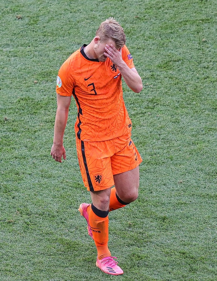  大黄蜂的对手是谁 