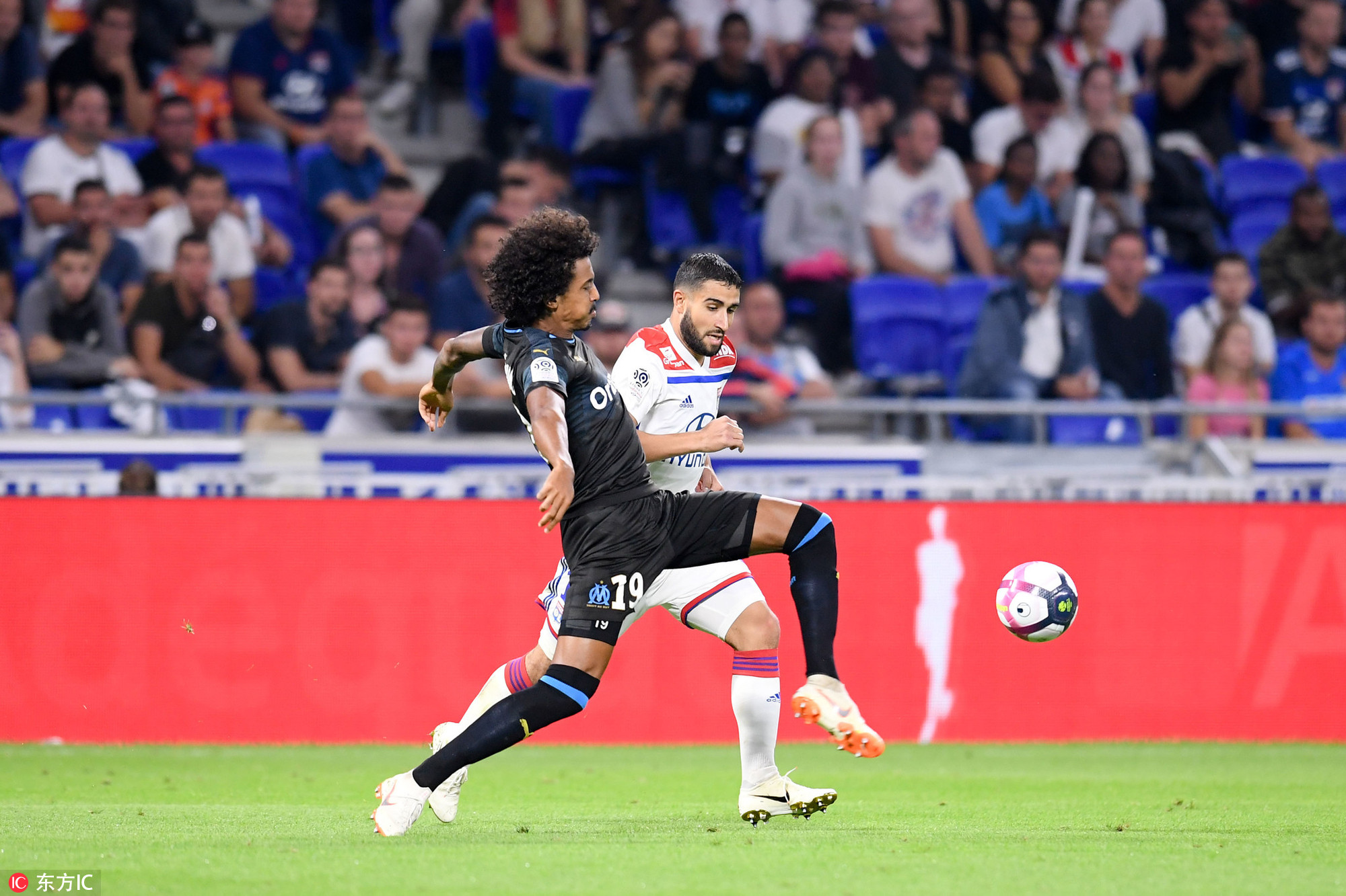 法兰克福车展教授痛哭 法兰克福车展教授痛哭